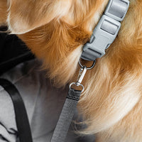 Hundbilstol — Res tillsammans i säkerhet 