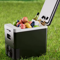 ミニ冷蔵庫 & 車用温め料理 — 2 in 1 実用的 